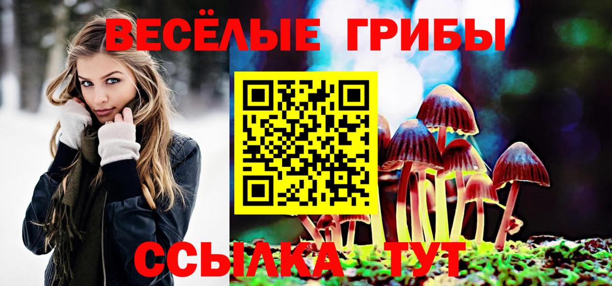Кимры  Псилоцибиновые грибы MAGIC MUSHROOMS  Вход с VPN 